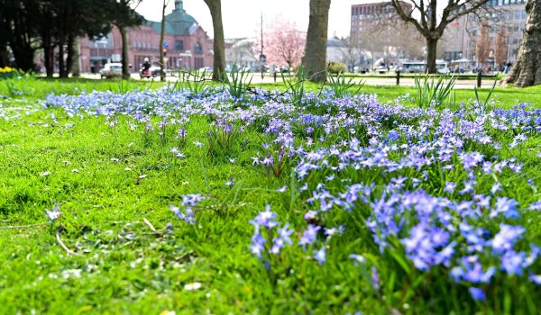 바덴바덴